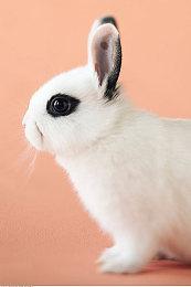 暴雪总裁晒照：用SteamDeck预装《暗黑破坏神4》